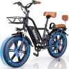 Ridstar FM-001 Electric Bicycle 1000W 48V 15AH Road City Ebike for Adult 20Inch Fat Tire Beach Mountain With Backseat Cycling